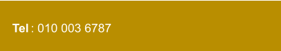Tel : 010 003 6787